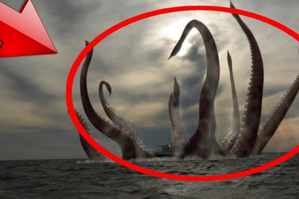 Kraken online
