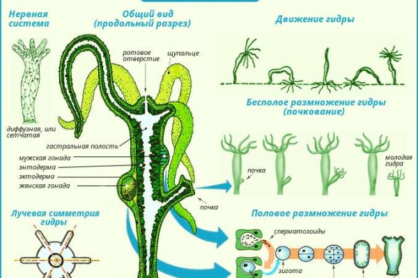 Kraken ссылка сайт kraken clear com