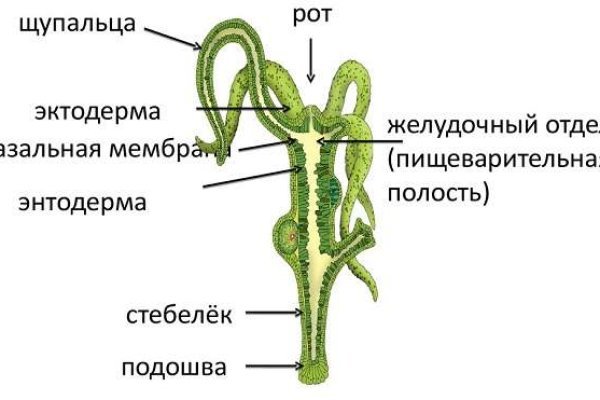 Кракен что это такое наркотики